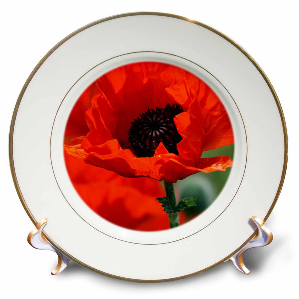 East Urban Home Beautiful Poppy Porcelain Decorative Plate Wayfair